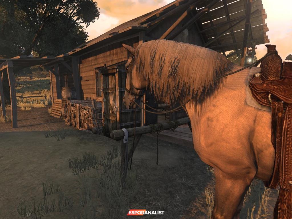 Red Dead Redemption'a Yepyeni Bir Bakış Açısı!