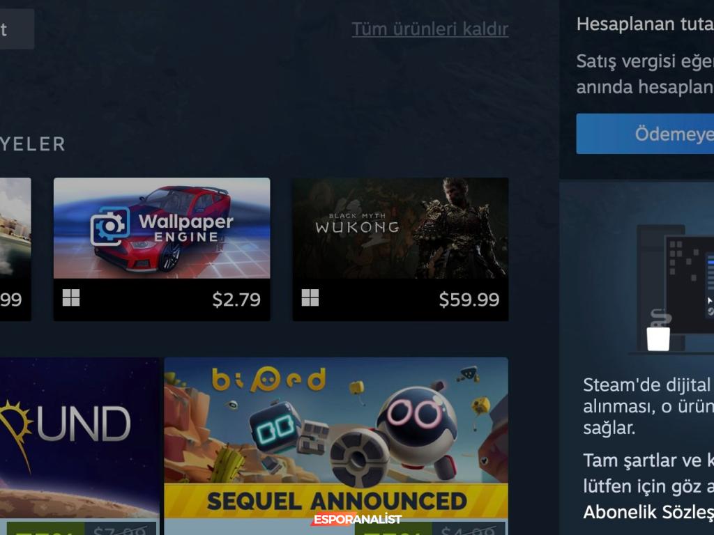 Steam'de Oyun Mu, Lisans mı? Artık Cevaplar Daha Net!