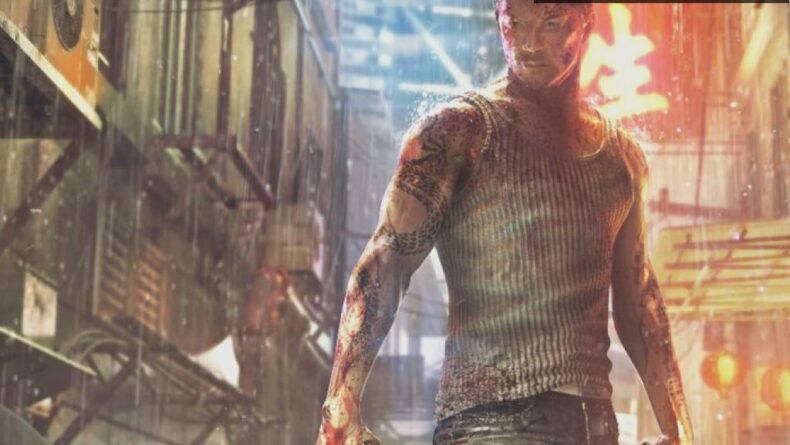 Sleeping Dogs Filmi İptal Edildi