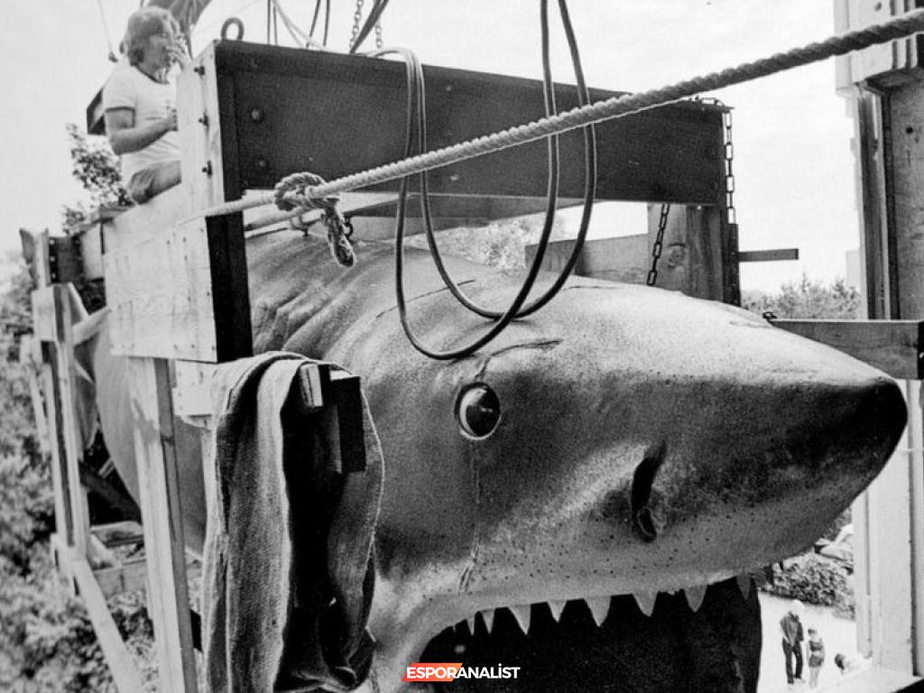 Tarantino Neden Jaws’u ‘En İyi Film’ Olarak Görüyor?