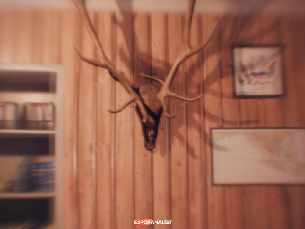 Oynanış Dinamikleri