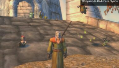 Blizzard ve DDoS Saldırıları: WoW Dünyasında Kedi-Fare Oyunu