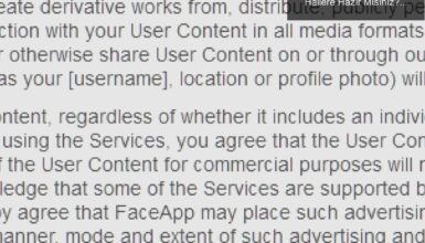 FaceApp Çılgınlığı: Yaşlanırken Eğlenceli Hallere Hazır Mısınız?