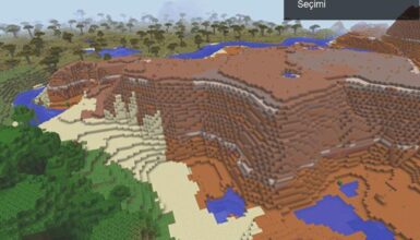 Minecraft Biyom Değişiklikleri: Oyuncuların Seçimi