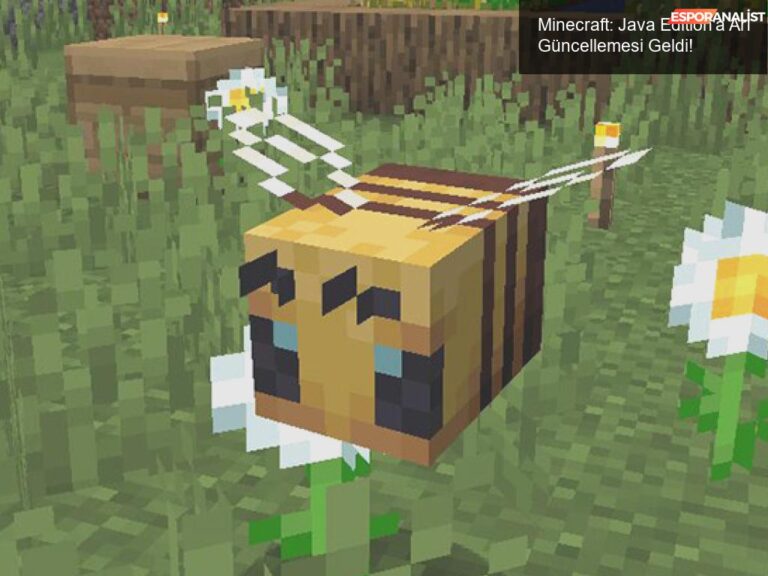 Minecraft: Java Edition'a Arı Güncellemesi Geldi! | Espor Analist