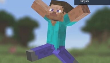 Minecraft: Yarım Milyar Oyuncu ile Blokların Dünyası
