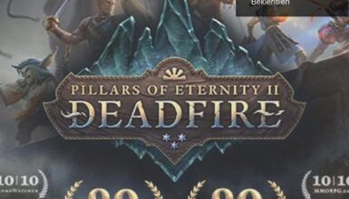 Pillars of Eternity: Hayal Kırıklığı ve Gelecek Beklentileri