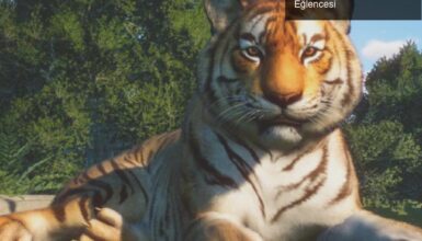 Planet Zoo: Kendi Hayvanat Bahçenizi Kurmanın Eğlencesi