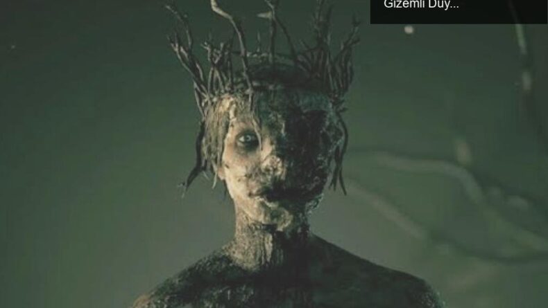 Red Barrels’dan Yeni Korku Deneyimi: Outlast İle İlgili Gizemli Duyuru