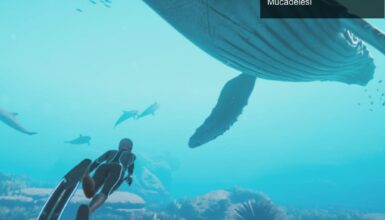 Beyond Blue’un Ertelenmesi: Oyun Geliştiricilerinin Mücadelesi