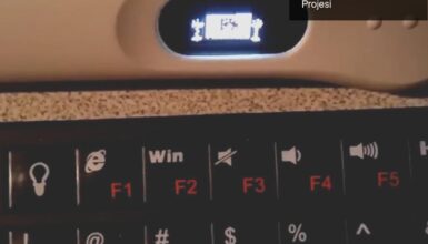 Hamilelik Testinde Doom Oynamak: Foone’un Çılgın Projesi