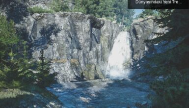 Köpekleri Sevmek ve Şelalelerin Sırları: Oyun Dünyasındaki Yeni Trendler