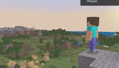Minecraft 11 Yaşında: Büyülü Bir Yolculuğun Hikayesi