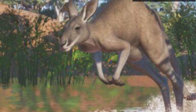 Planet Zoo’da Avustralya Temalı Yeni Ek Paket