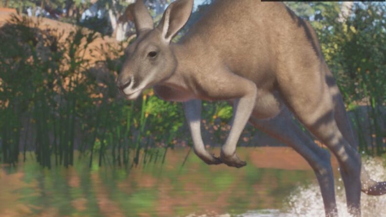 Planet Zoo’da Avustralya Temalı Yeni Ek Paket
