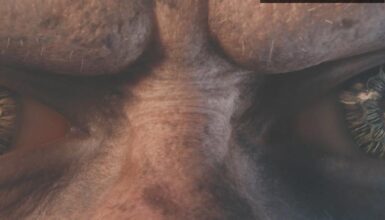 The Lord of the Rings: Gollum – Yeni Macera