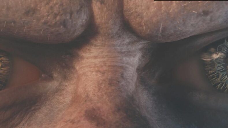 The Lord of the Rings: Gollum – Yeni Macera