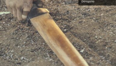 The Witcher İkinci Sezonu: Ciri’nin Savaşçı Dönüşümü