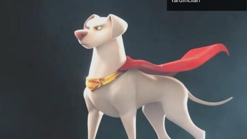 DC League of Super-Pets: Süper Kahramanların Sevimli Yardımcıları