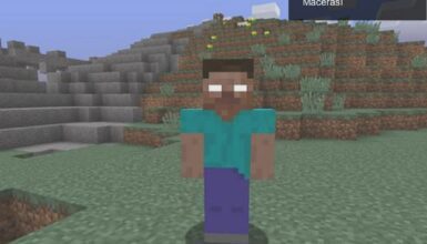 Minecraft’ın Efsanesi: Herobrine ve Seed Bulma Macerası