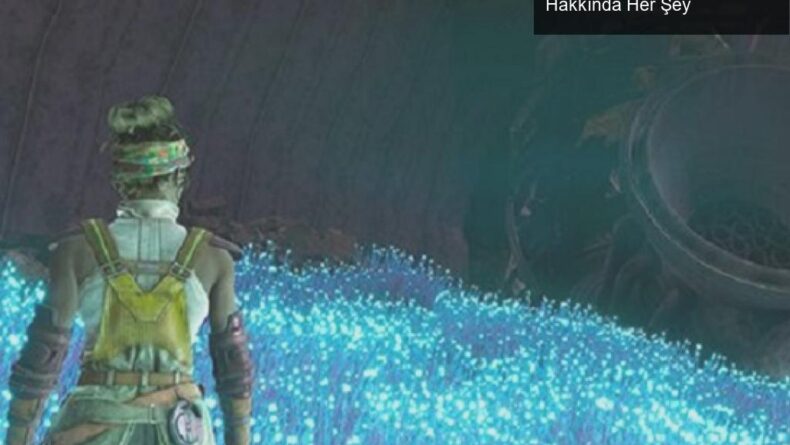 The Outer Worlds: Murder on Eridanos Genişlemesi Hakkında Her Şey