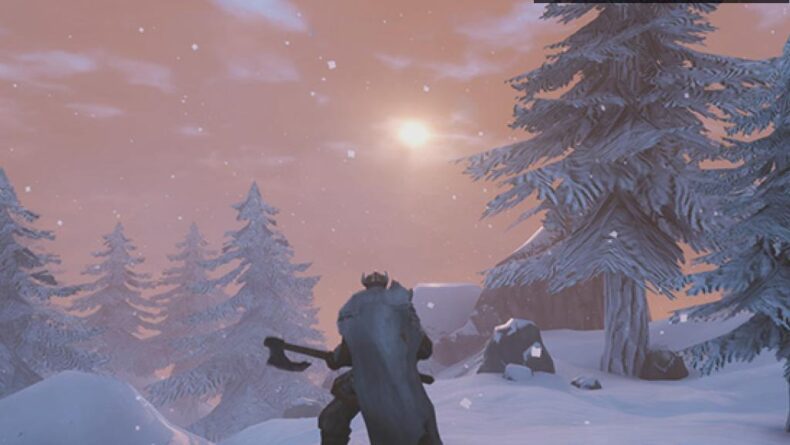 Valheim: Viking Dünyasında Hayatta Kalma Macerası
