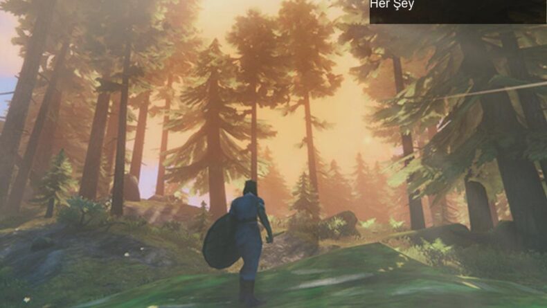 Valheim: Viking Temalı Hayatta Kalma Oyunu Hakkında Her Şey