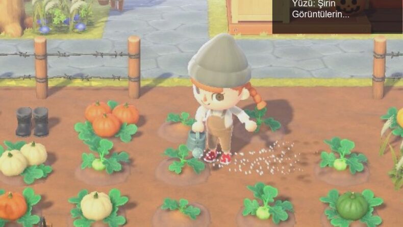 Animal Crossing: New Horizons’ın Korkutucu Yüzü: Şirin Görüntülerin Altındaki Gerilim