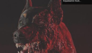 Cerberus’un Gizemi: Resident Evil Dizisinde Zombi Köpeklerinin Korkutucu Dünyası