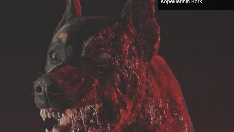 Cerberus’un Gizemi: Resident Evil Dizisinde Zombi Köpeklerinin Korkutucu Dünyası