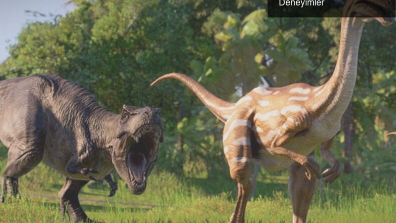 Dinozor Parkı Yönetiminde Başarı İçin İpuçları ve Deneyimler