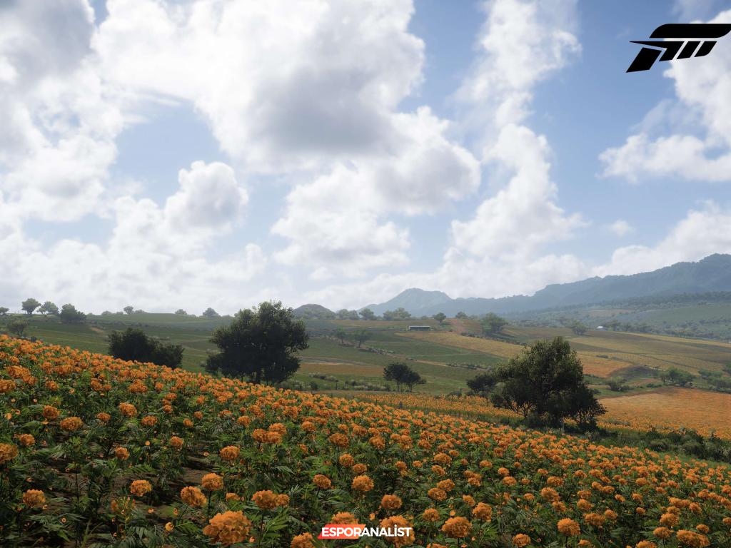 Forza Horizon 5: Meksika'nın Muazzam Güzelliklerinde Yeni Bir Yarış Deneyimi