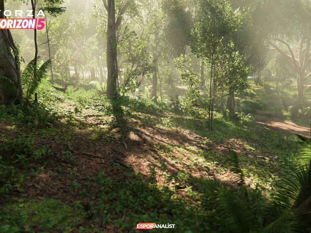 Forza Horizon 5: Meksika'nın Muazzam Güzelliklerinde Yeni Bir Yarış Deneyimi