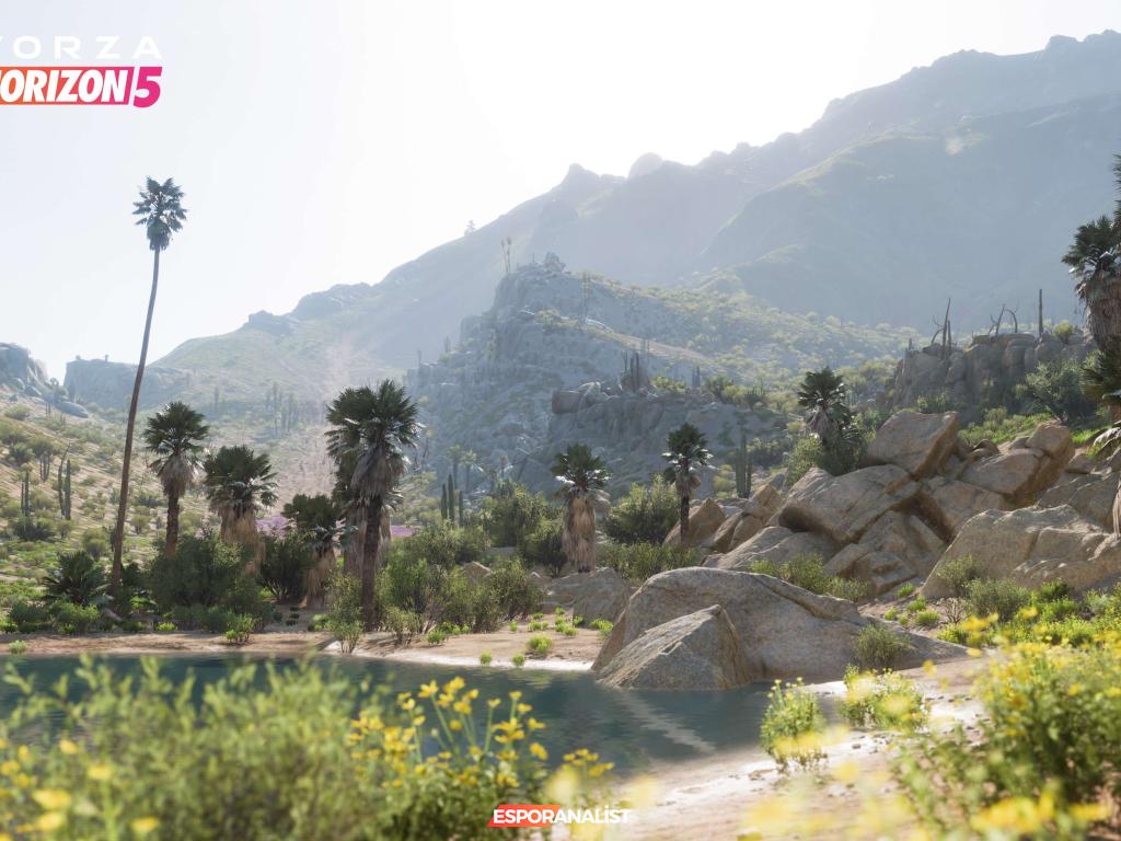 Forza Horizon 5: Meksika'nın Muazzam Güzelliklerinde Yeni Bir Yarış Deneyimi