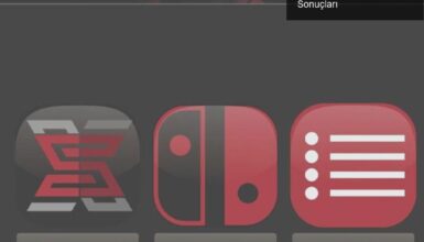 Gary Bowser ve Nintendo: Korsanlık Hikayesinin Ciddi Sonuçları