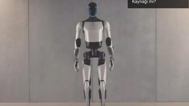 İnsansı Robotlar: Geleceğin Misafirleri Yoksa Korku Kaynağı mı?