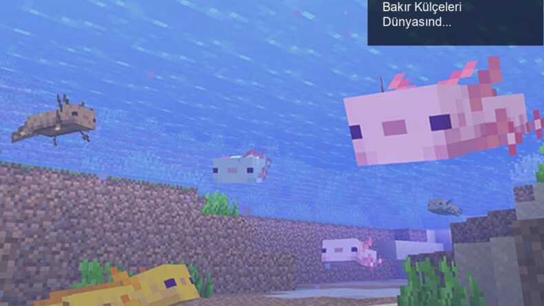 Minecraft 1.17.1 Güncellemesi: Drowned ve Bakır Külçeleri Dünyasında Yeni Maceralar