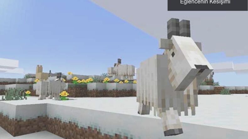 Minecraft’daki Bağıran Keçiler: Doğanın ve Eğlencenin Kesişimi