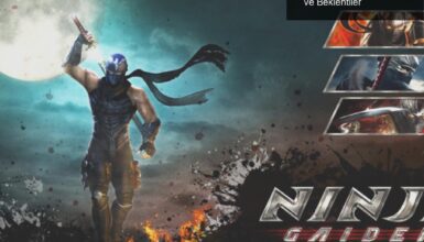 Ninja Gaiden: PC Portu Hakkında Hayal Kırıklığı ve Beklentiler