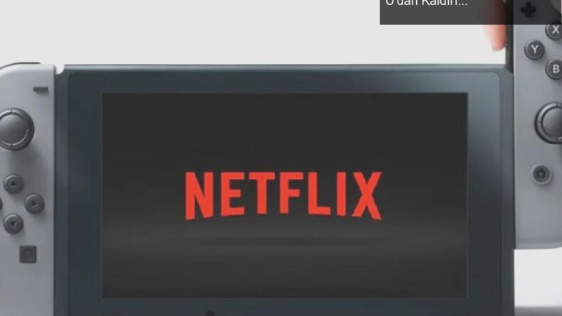 Nintendo’dan Şok Karar: Netflix Uygulaması 3DS ve Wii U’dan Kaldırıldı