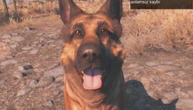 Oyun Dünyasında Bir Kahraman: Dogmeat ve River’ın anlamsız kaybı