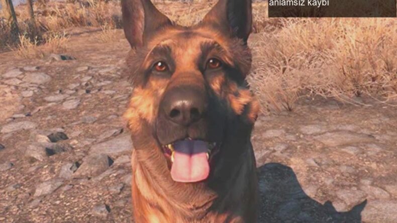 Oyun Dünyasında Bir Kahraman: Dogmeat ve River’ın anlamsız kaybı