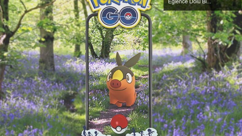 Pokémon GO Tepig Topluluk Etkinliği: Shiny Şansı ve Eğlence Dolu Bir Gün!
