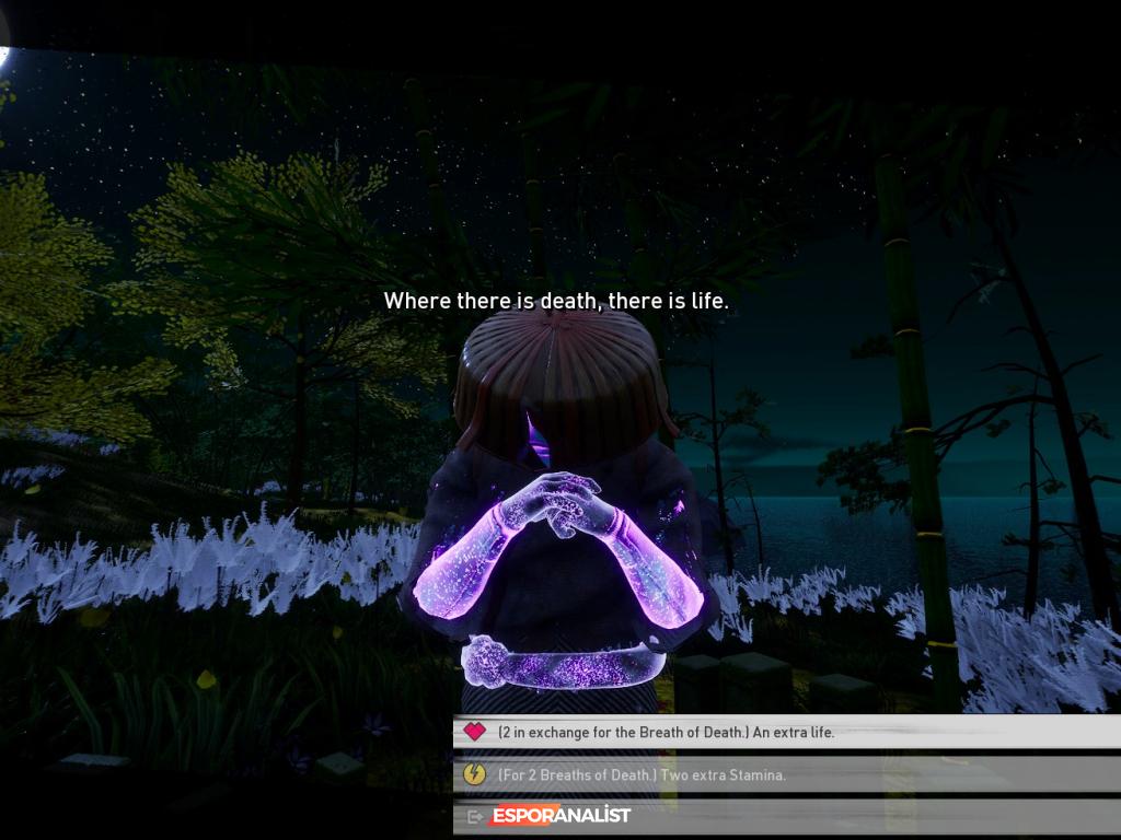Ronin Two Souls: Samurayların Karanlık Yolculuğu ve Oyun İncelemesi