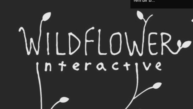 Bruce Straley ve Wildflower Interactive: Oyun Dünyasında Yeni Bir Başlangıç