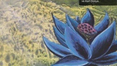 Koleksiyonculuğun Büyüsü: Black Lotus’un Rekor Fiyatı ve Kart Dünyasında Yaşam