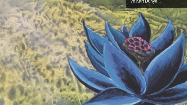 Koleksiyonculuğun Büyüsü: Black Lotus’un Rekor Fiyatı ve Kart Dünyasında Yaşam
