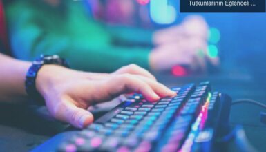 Oyun İçinde Nüfus Savaşları: ABD’deki Oyun Tutkunlarının Eğlenceli Dünyası