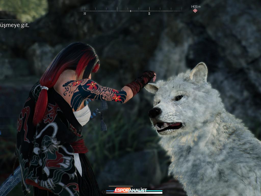 Rise of the Ronin: Japonya'nın Çalkantılı Döneminde Bir Yuri Destanı