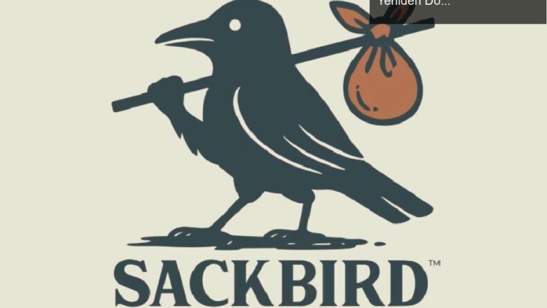 Sackbird: ZeniMax Online’ın İptal Edilen MMO Projesinden Yeniden Doğuşu